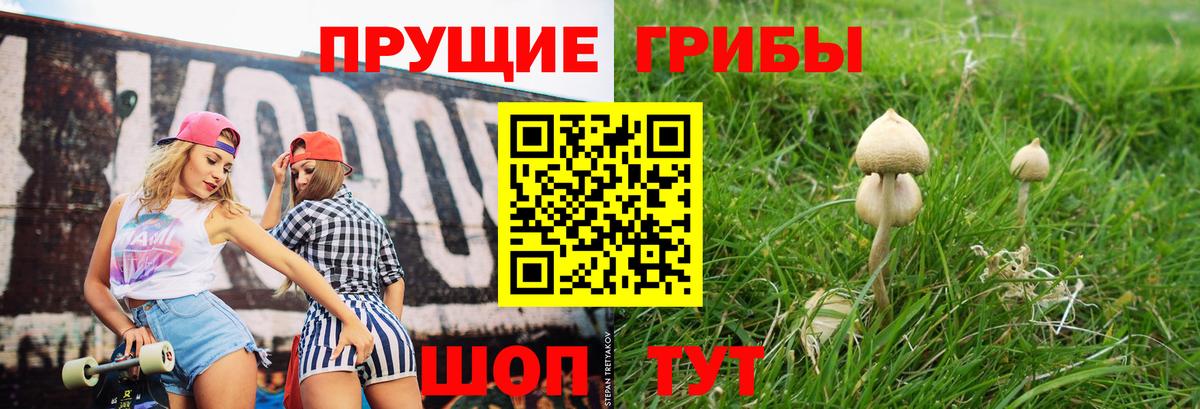 как найти наркотики  Псилоцибиновые грибы прущие грибы  Вход с VPN  Галлюциногенные грибы Cubensis  Нарьян-Мар 