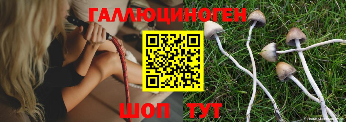 Псилоцибиновые грибы Psilocybine cubensis Нарьян-Мар